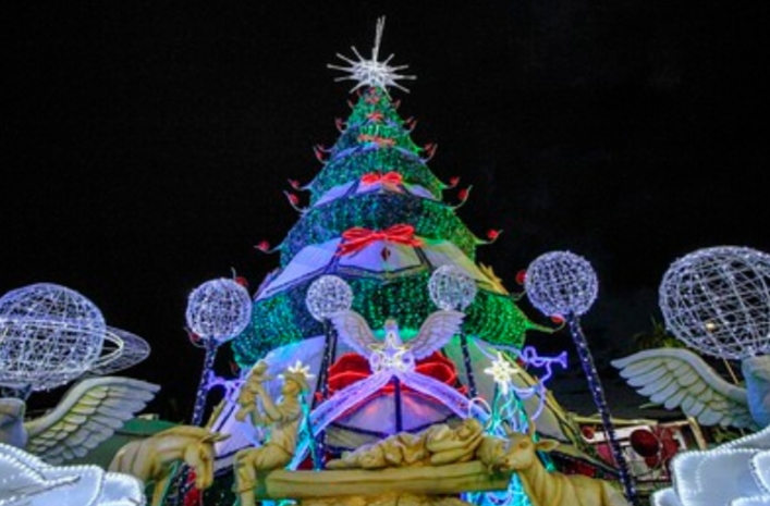 Ponta Negra recebe a maior árvore do 'Natal do Abraço' - Portal Amazon WebTV