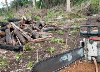Imazon: Amazônia Legal registra o maior desmatamento em 14 anos